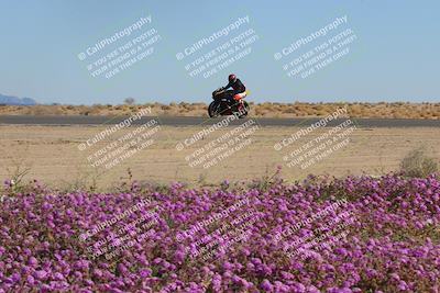 media/Feb-10-2023-2WTD (Fri) [[a356e03532]]/B Group/Session 5 (Turn 15 Blooming)/